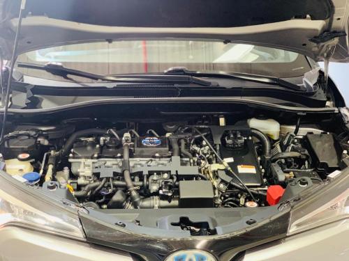 WhatsApp-Image-2023-11-30-at-10.46.58