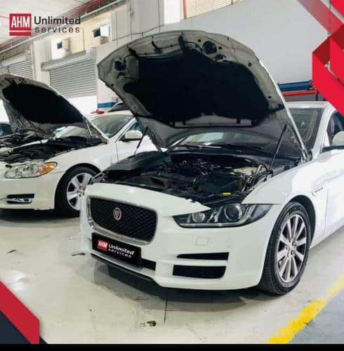 WhatsApp-Image-2023-11-30-at-10.47.00